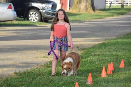 a girl leading her dog