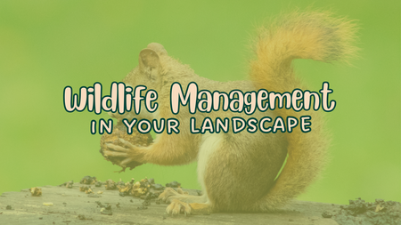 Wildlife Management in Your Landscape