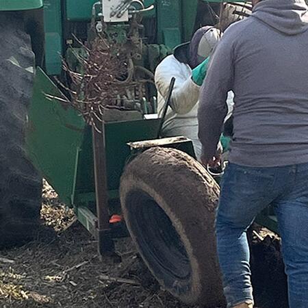 People using a tractor and tree planter to plant peach tree samplings in a field