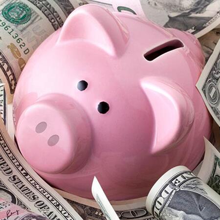 Piggy bank on cash
