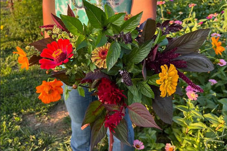 A person holding out a large group of varied flowers and herbs