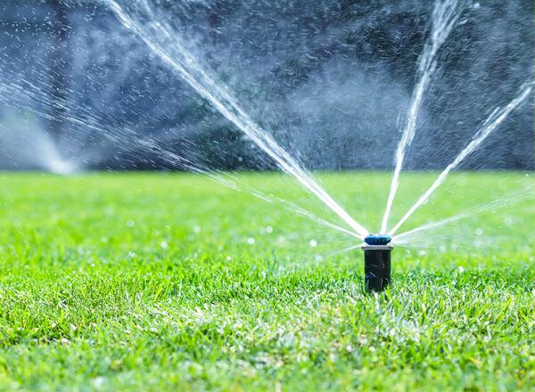 watering yard lawn with automatic sprinklers