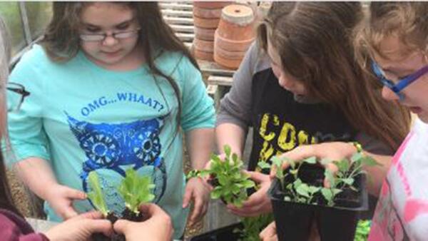 youth transplanting plants in pots