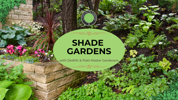Shade Gardens with DeWitt and Piatt Master Gardeners, landscape garden pictured 