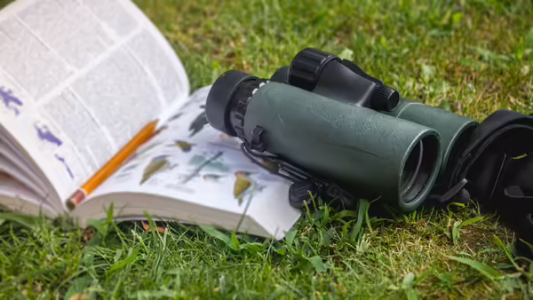 A bird watching book sits in the grass with binoculars resting over the open book.