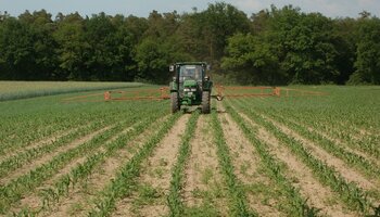 sprayer in field of corn