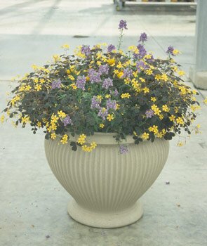 A pot full of colorful flowers