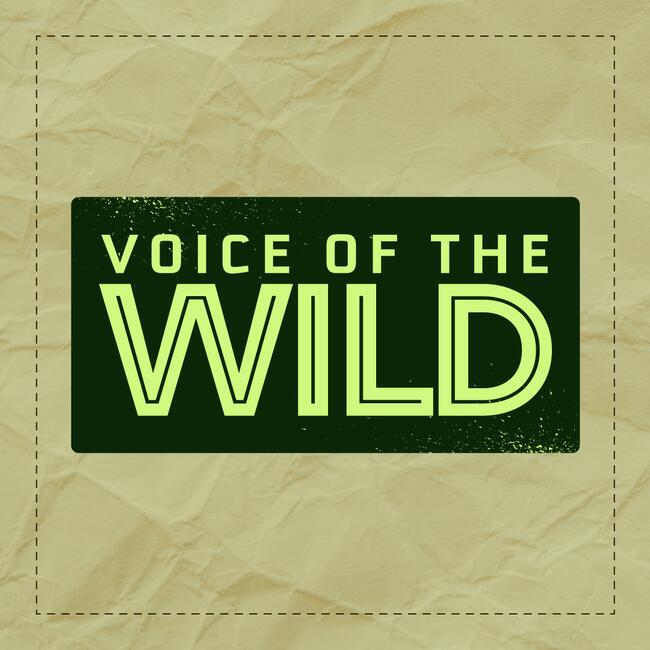 Voice of the Wild Podcast image