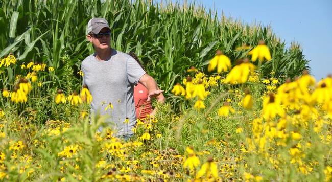 Brent Fowler standing in blooming prairie with a corn field in background