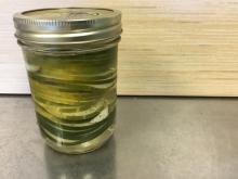 Glass canning jar holds slices of cucumbers sitting in pickling brine. Jar sits on a metal surface with a wood background.