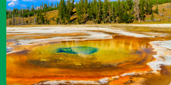 geyser shimmering in a rainbow of colors with steam rising from it