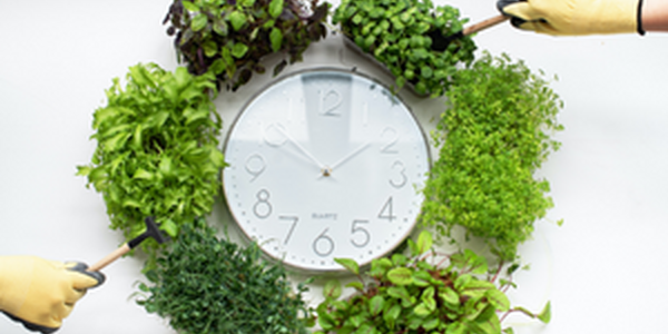 A clock with plants around it and two hands pointing at the clock.