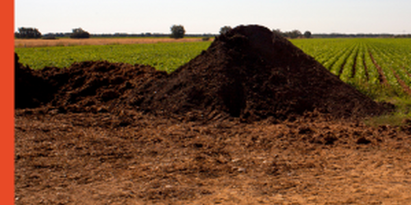 manure piles next to a field