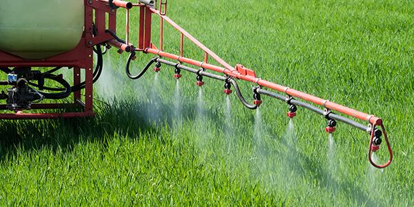 spraying pesticides