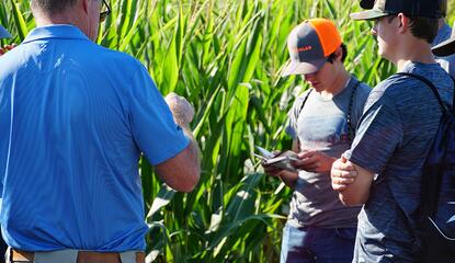 Youth teams standing at a crop scouting station discussing plants with a researcher.