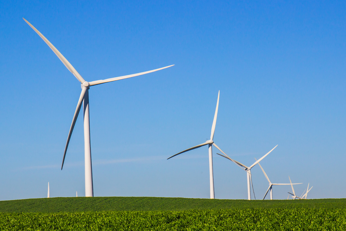 wind turbines over a field