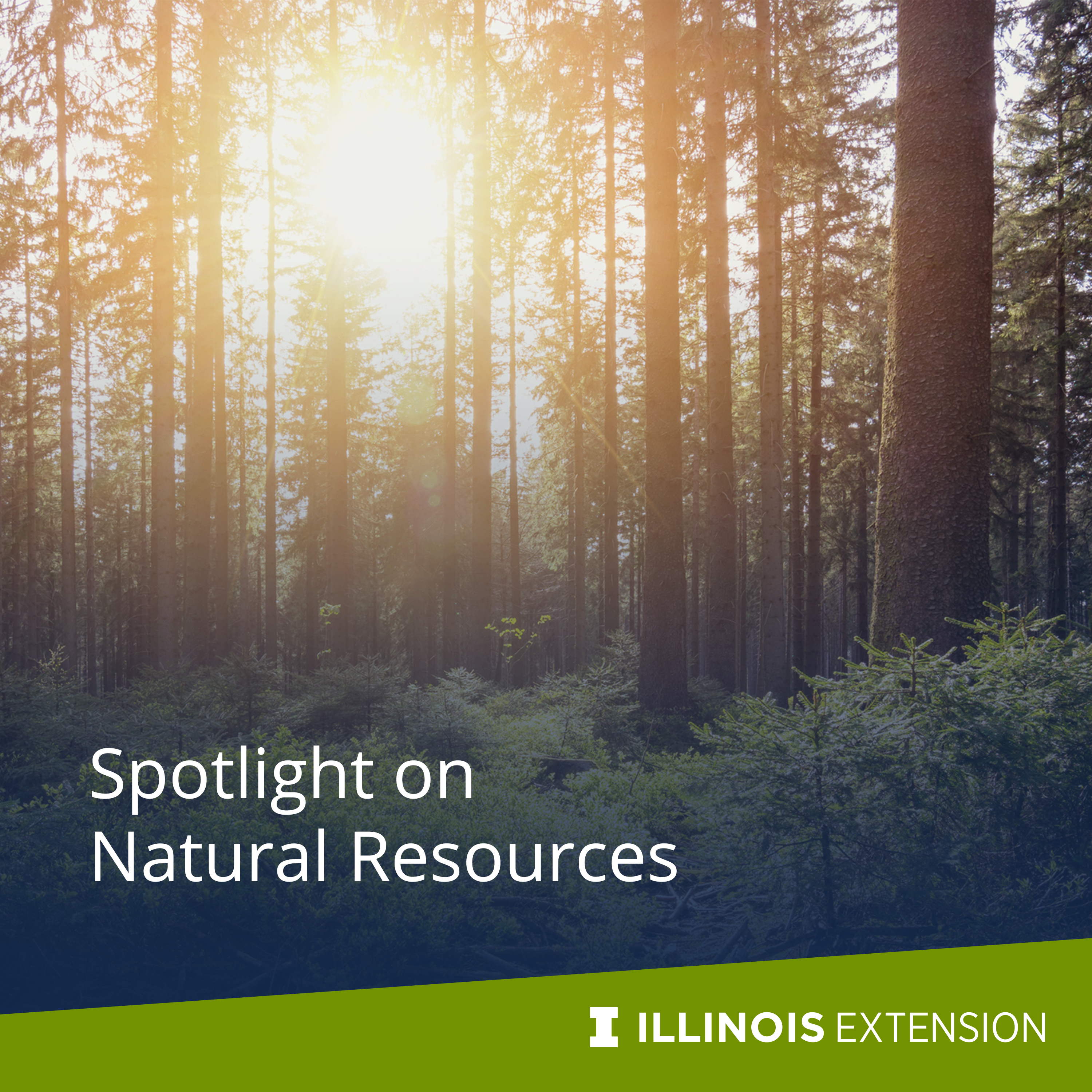 Spotlight on Natural Resources