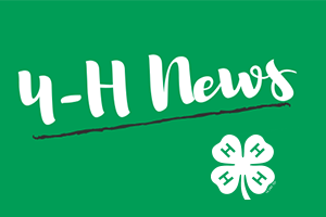 Green background with 4-H News text and clover logo. 