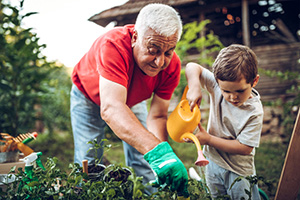 Grandpa and kid working in garden