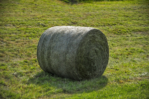 round hay bale