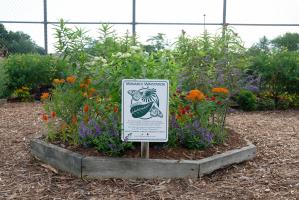 The monarch waystation teaches about monarch lifecycle and habitat.