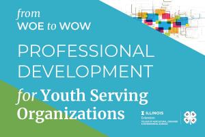 infographic for professional development for youth serving organizations