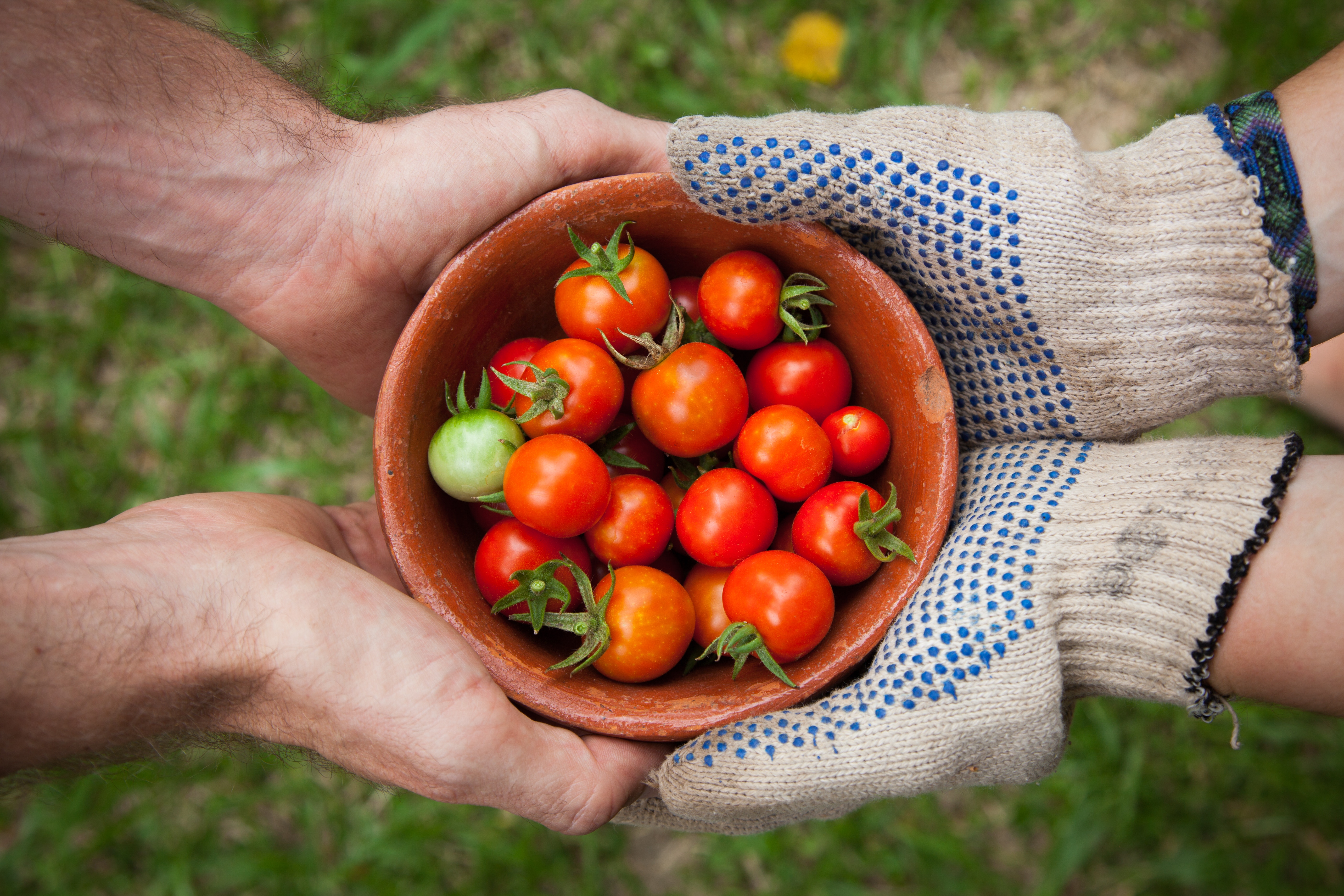 bowl of cherry tomatoes being passed from one person to another