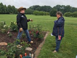 Master Gardeners teach others how to care for and maintain plants in the garden.