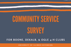 Comminity Service Survey