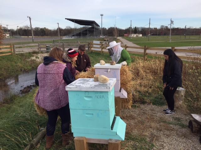 Beekeepers winterize their hives