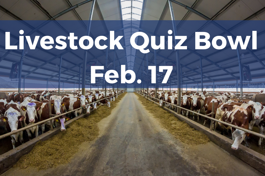 livestock in barn