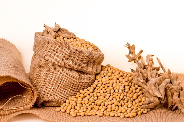 soybeans