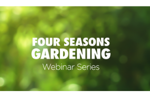 Four season gardening webinar series text on a green background