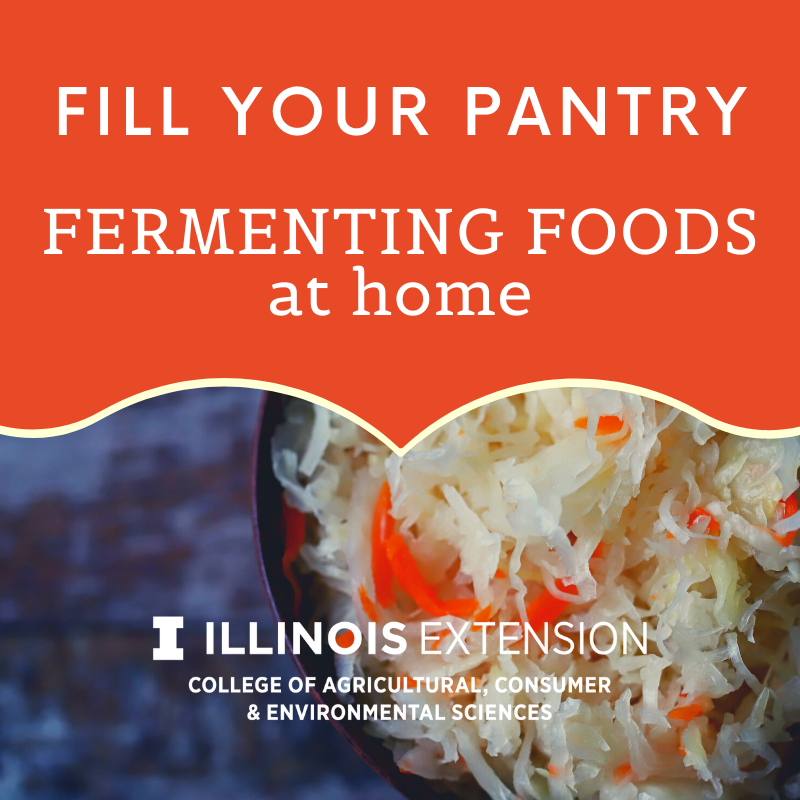 photo of fermenting food