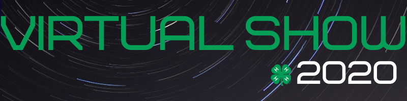 Virtual Show graphic