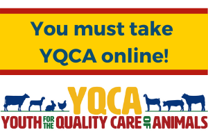 YQCA logo with text