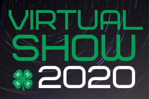 virtual show logo