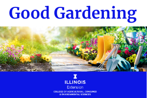 good gardening blog