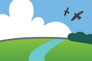 Land Conservation Foundation logo - birds in the sky over river