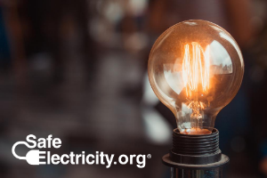 Photo of vintage lightbulb with safeelectricity.org logo