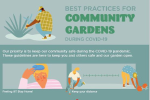 Best Practices for Community Gardens during COVID-19