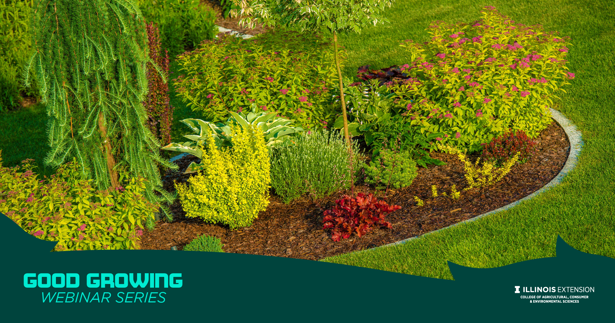 Landscape gardening