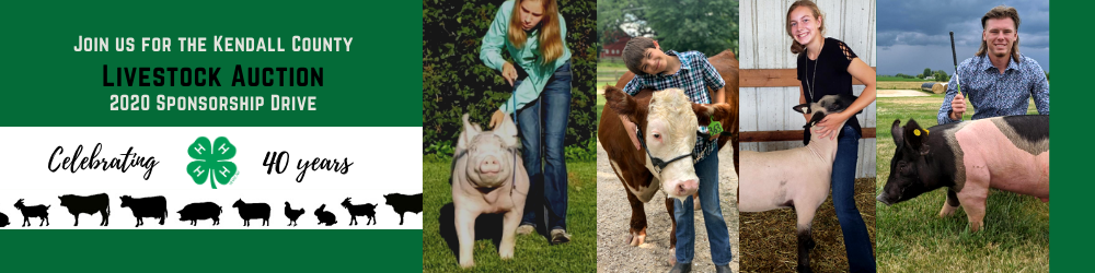 decorative element with photos of youth and animals