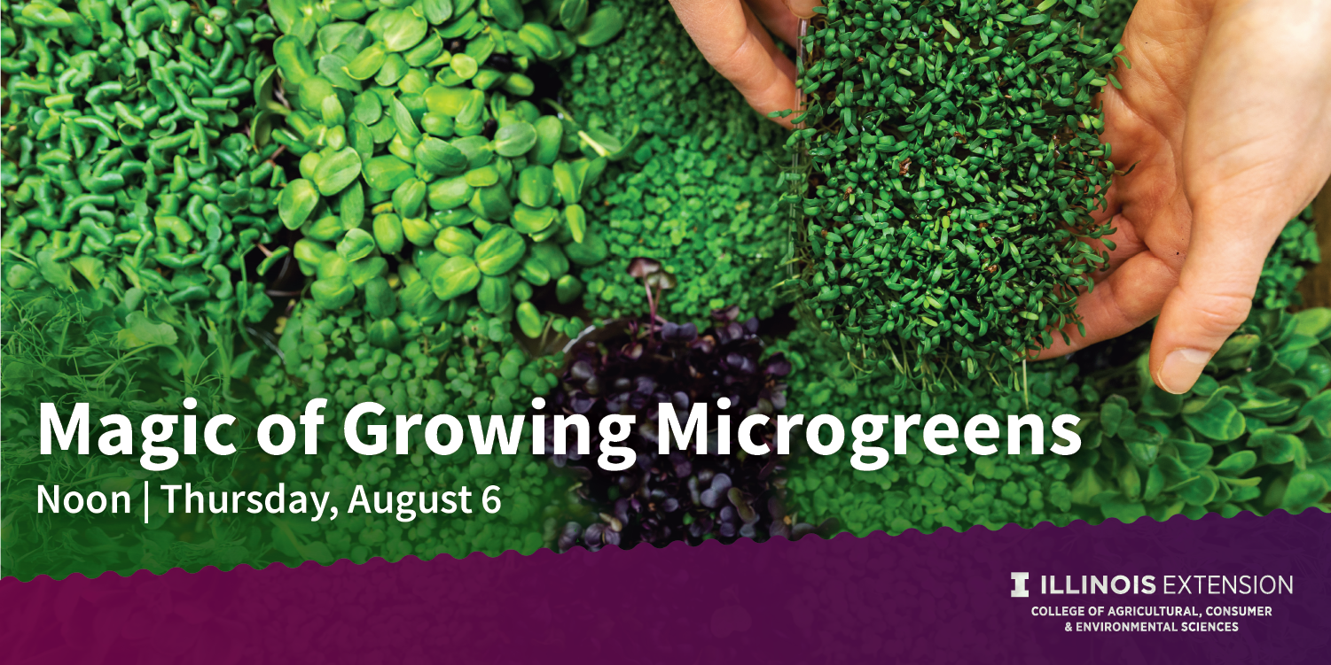 promotion for Microgreens