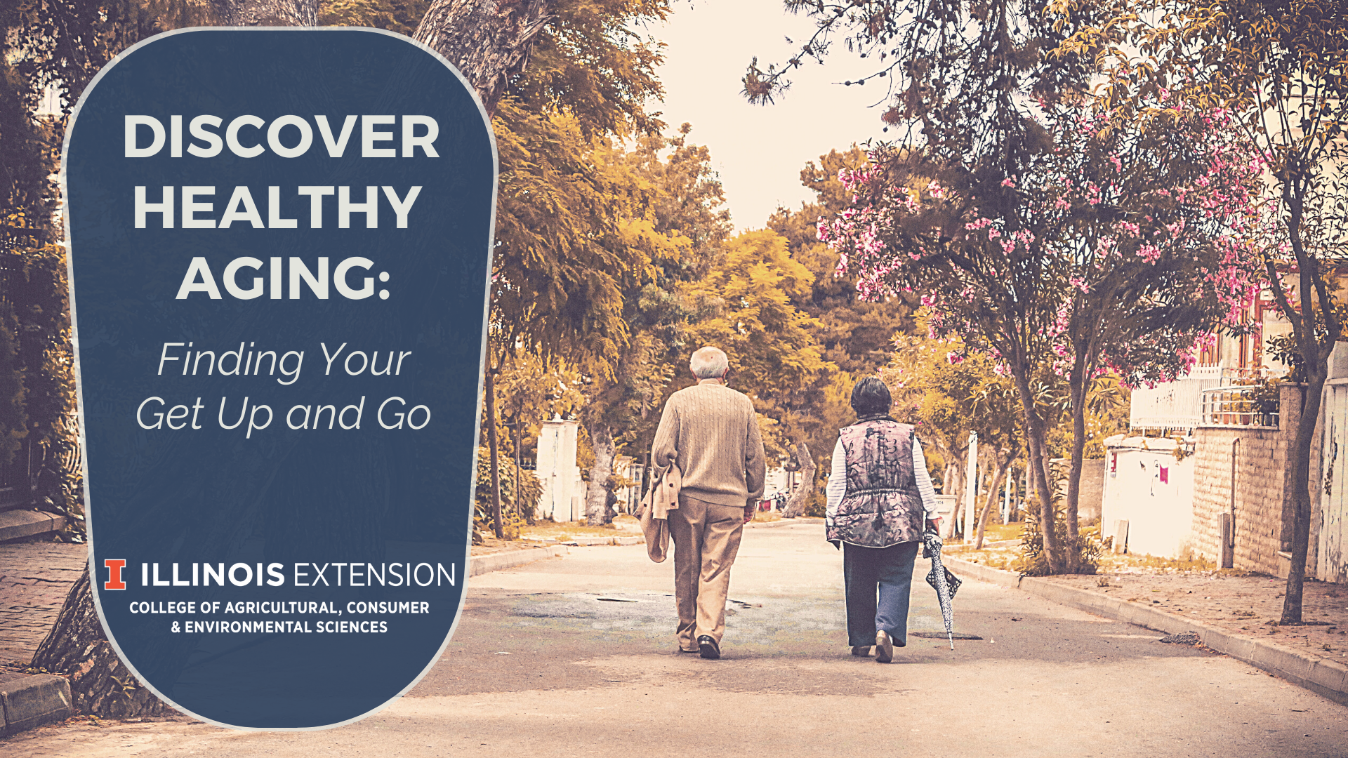 elderly couple strolling along tree lined road