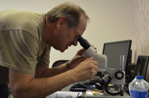Man looking through microscope at diseased plant sample