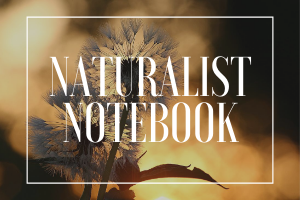 Naturalist Notebook