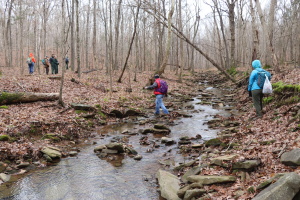 group of people walking on rocks across a shallow creek in a timber