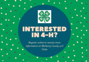 Do you have an interest in the McHenry County 4-H Program? 