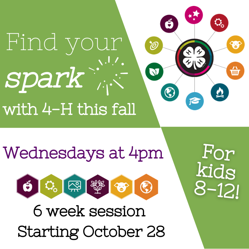 find your spark graphic
